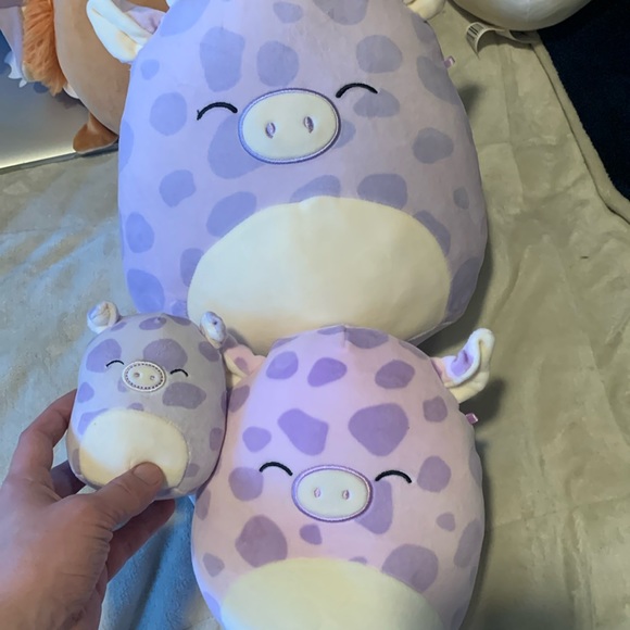Pammy the pig squishmallow complete set of all sizes NWT - Picture 1 of 4